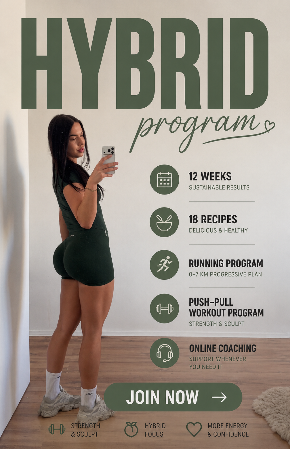 Hybrid program (english)