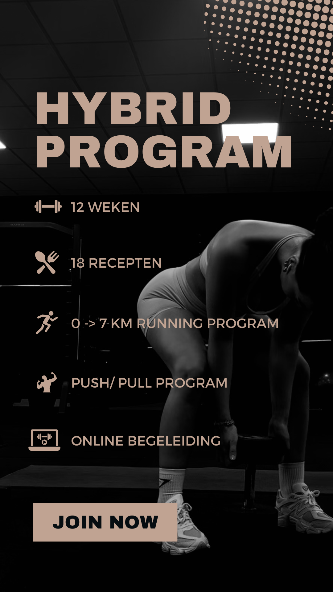 Hybrid program (dutch)
