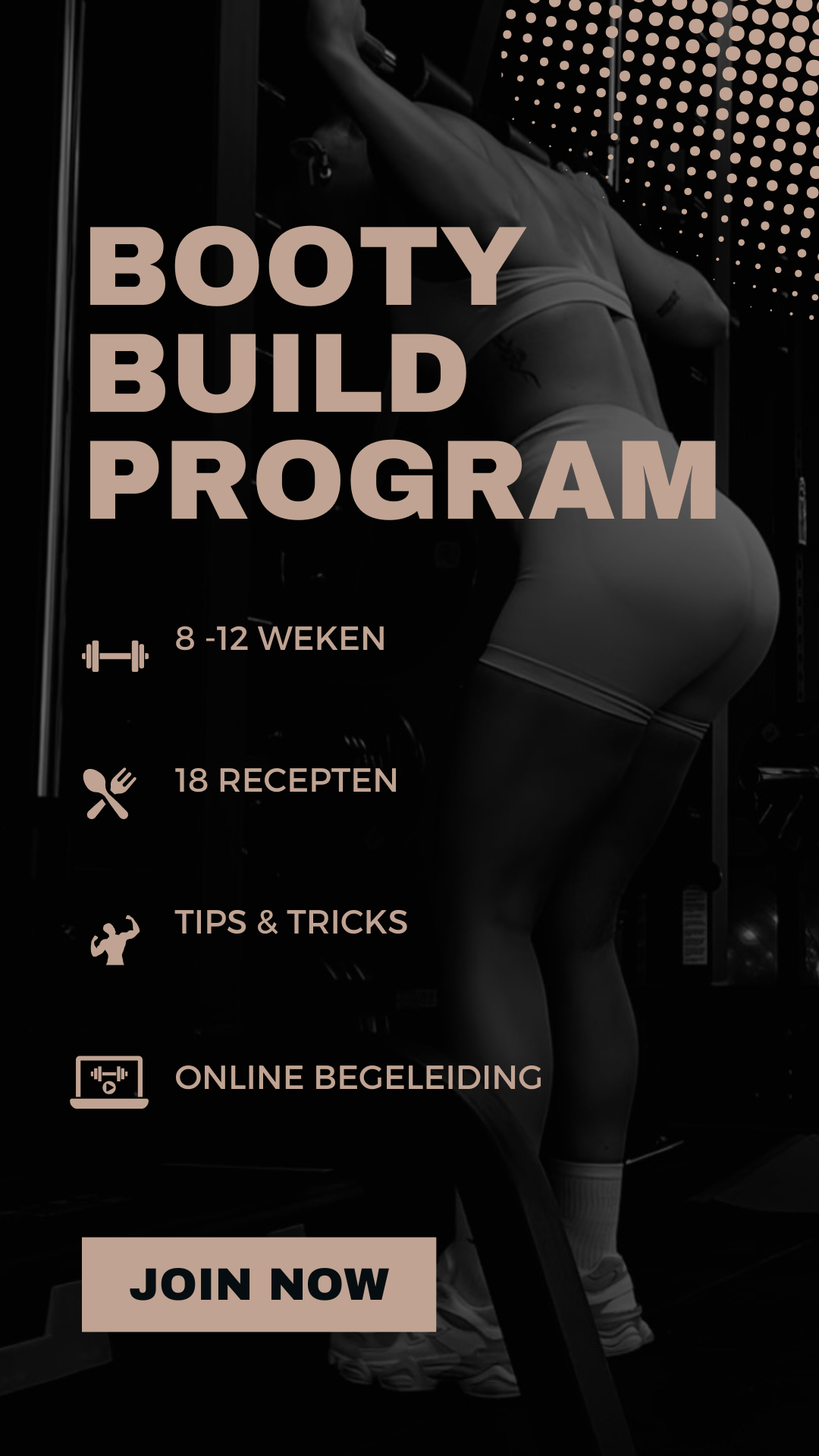 Booty build program (dutch)